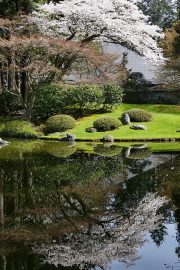 日本动漫新番封面，少年主角在樱花飘落的场景中，色彩细腻，91香蕉视频动漫区在线观看